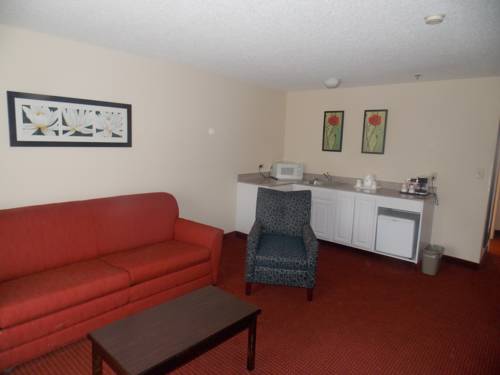 Imagen de la habitación del Hotel Comfort Inn & Suites River City Decatur. Foto 12