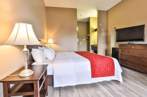 Imagen general del Hotel Comfort Inn & Suites, SAINT JEROME. Foto 6