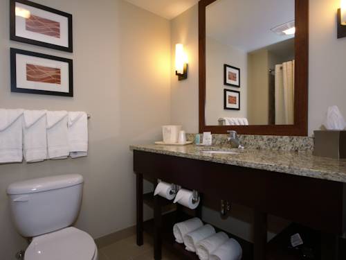 Imagen de la habitación del Hotel Comfort Inn & Suites Sayre. Foto 6