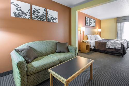 Imagen de la habitación del Hotel Comfort Inn & Suites Sheboygan I-43. Foto 4