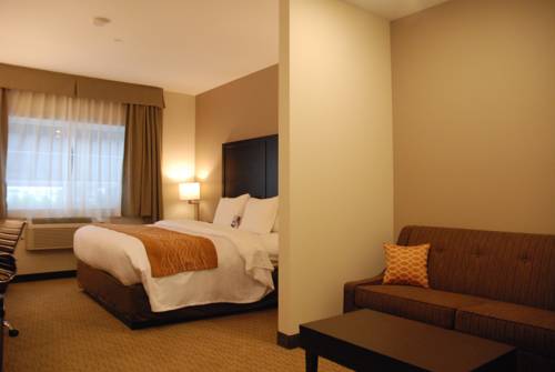 Imagen de la habitación del Hotel Comfort Inn & Suites Terrace. Foto 4