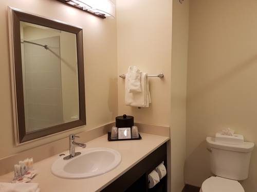 Imagen de la habitación del Hotel Comfort Inn & Suites Terrace. Foto 9