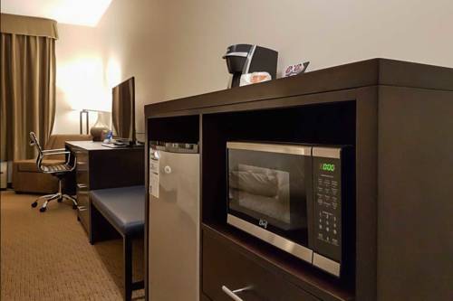 Imagen de la habitación del Hotel Comfort Inn & Suites Terrace. Foto 11