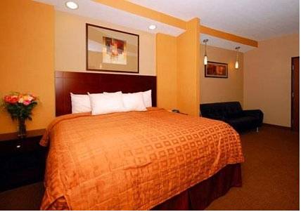Imagen de la habitación del Hotel Comfort Inn & Suites Washington. Foto 4