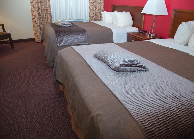 Imagen de la habitación del Hotel Comfort Inn & Suites at I-74 and 155. Foto 3