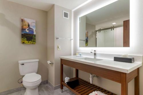 Imagen de la habitación del Hotel Comfort Inn & Suites de Muskogee. Foto 19