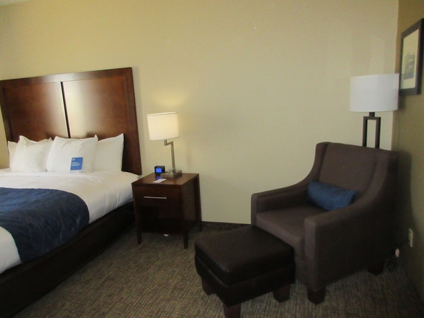 Imagen de la habitación del Hotel Comfort Inn and Suites Airport, Baton Rouge. Foto 2