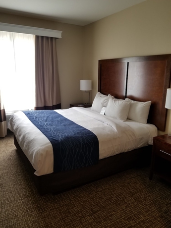 Imagen de la habitación del Hotel Comfort Inn and Suites Airport, Baton Rouge. Foto 3