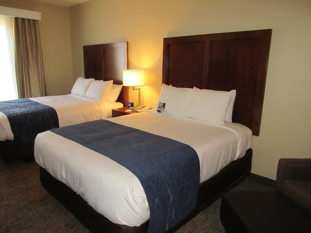 Imagen de la habitación del Hotel Comfort Inn and Suites Airport, Baton Rouge. Foto 4