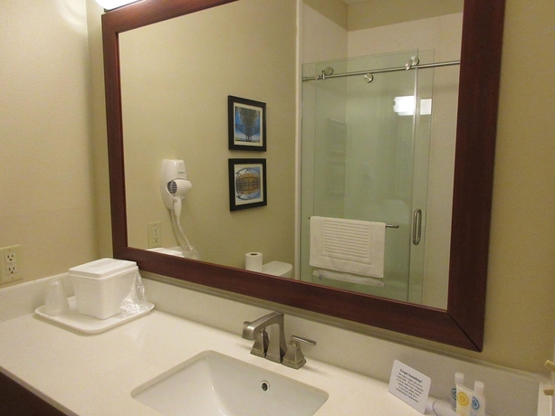 Imagen de la habitación del Hotel Comfort Inn and Suites Airport, Baton Rouge. Foto 6