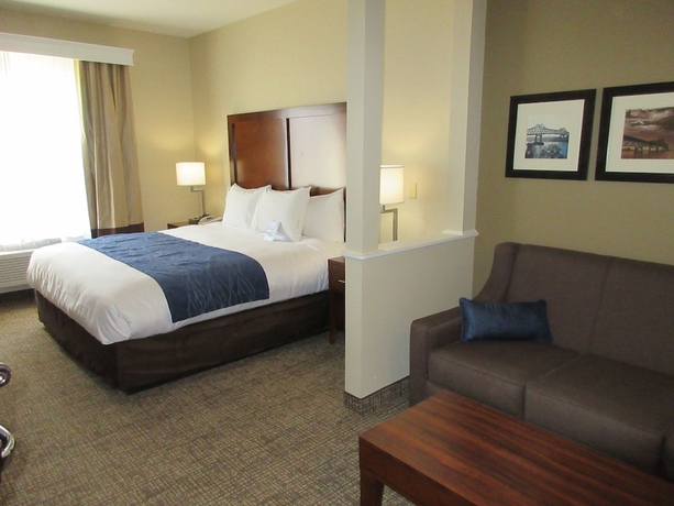 Imagen de la habitación del Hotel Comfort Inn and Suites Airport, Baton Rouge. Foto 7