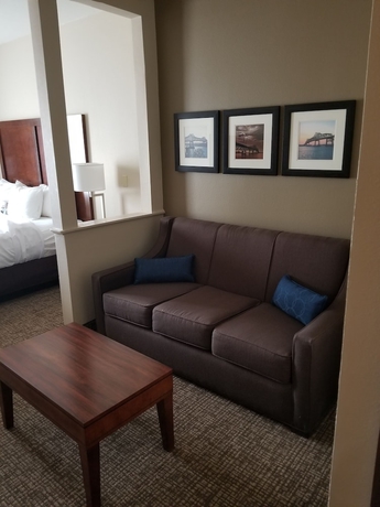 Imagen de la habitación del Hotel Comfort Inn and Suites Airport, Baton Rouge. Foto 8