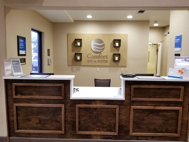 Imagen de los interiores del Hotel Comfort Inn and Suites Airport, Baton Rouge. Foto 17