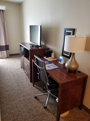 Imagen de la habitación del Hotel Comfort Inn and Suites Airport, Baton Rouge. Foto 9