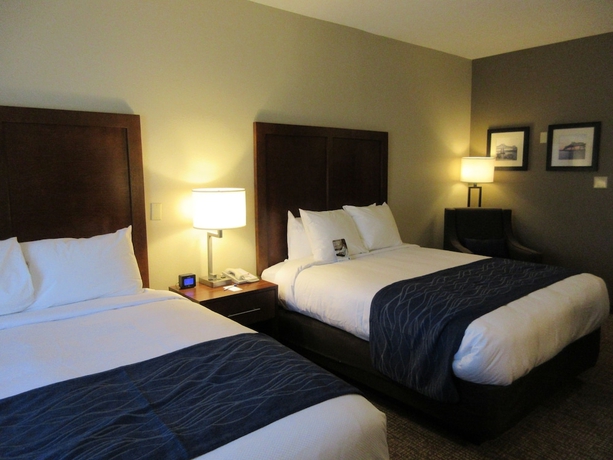 Imagen de la habitación del Hotel Comfort Inn and Suites Airport, Baton Rouge. Foto 10