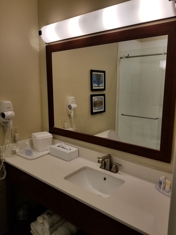 Imagen de la habitación del Hotel Comfort Inn and Suites Airport, Baton Rouge. Foto 14
