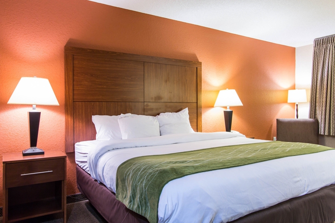 Imagen de la habitación del Hotel Comfort Inn and Suites Airport Convention Center. Foto 3