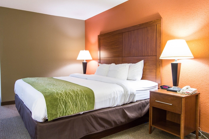 Imagen de la habitación del Hotel Comfort Inn and Suites Airport Convention Center. Foto 5