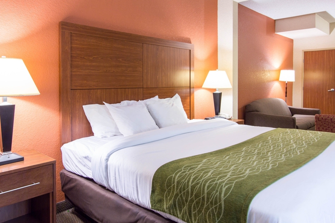 Imagen de la habitación del Hotel Comfort Inn and Suites Airport Convention Center. Foto 9
