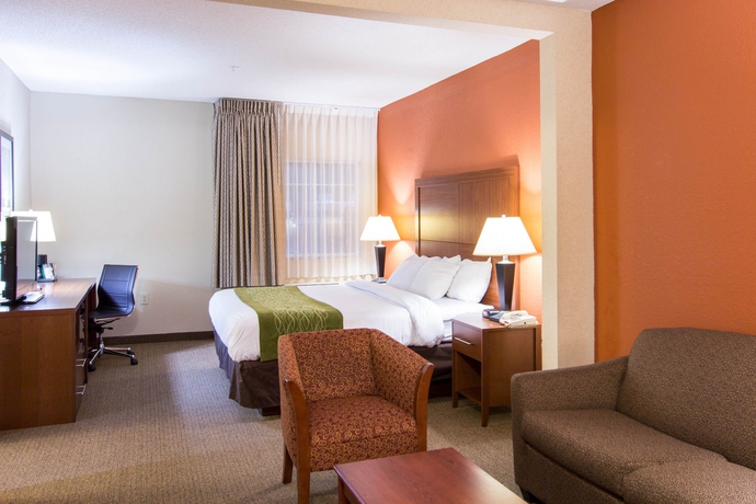 Imagen de la habitación del Hotel Comfort Inn and Suites Airport Convention Center. Foto 10
