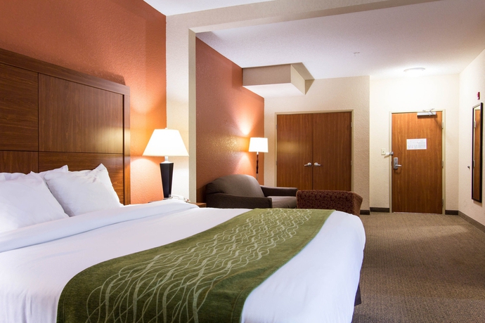 Imagen de la habitación del Hotel Comfort Inn and Suites Airport Convention Center. Foto 11