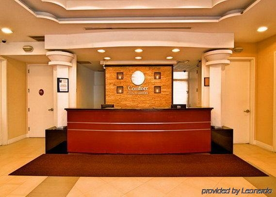 Imagen general del Hotel Comfort Inn and Suites Airport, Nueva York. Foto 2
