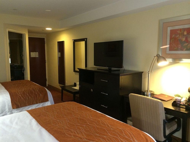 Imagen general del Hotel Comfort Inn and Suites Airport, Nueva York. Foto 6