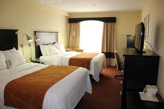 Imagen general del Hotel Comfort Inn and Suites Airport, Nueva York. Foto 7