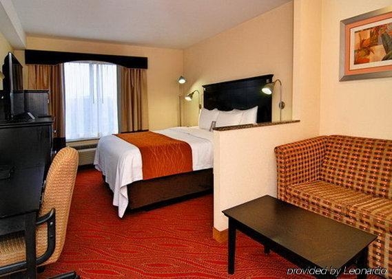 Imagen general del Hotel Comfort Inn and Suites Airport, Nueva York. Foto 12