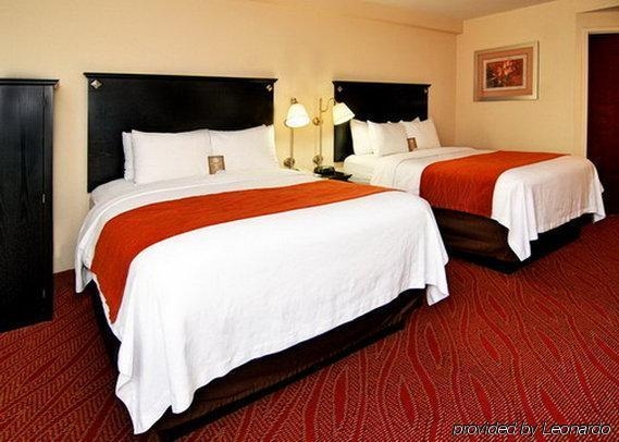 Imagen general del Hotel Comfort Inn and Suites Airport, Nueva York. Foto 15