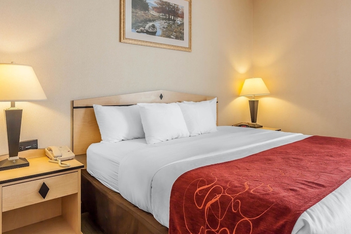 Imagen de la habitación del Hotel Comfort Inn and Suites Airport, Reno. Foto 2