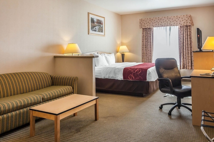 Imagen de la habitación del Hotel Comfort Inn and Suites Airport, Reno. Foto 9