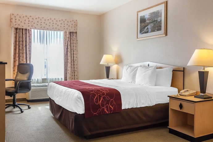 Imagen de la habitación del Hotel Comfort Inn and Suites Airport, Reno. Foto 12