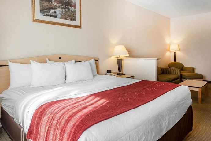 Imagen de la habitación del Hotel Comfort Inn and Suites Airport, Reno. Foto 15