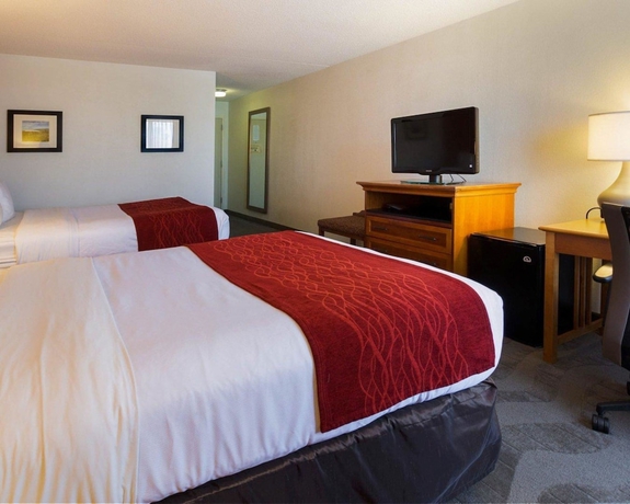 Imagen de la habitación del Hotel Comfort Inn and Suites Airport, Syracuse. Foto 2