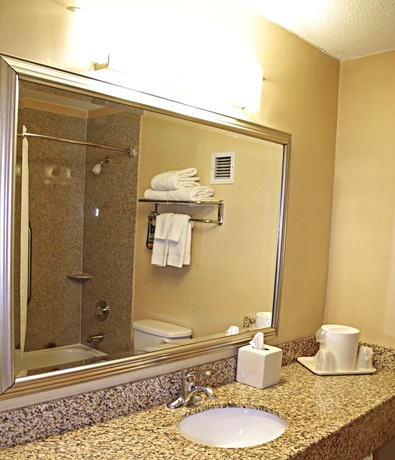 Imagen de la habitación del Hotel Comfort Inn and Suites Airport, Syracuse. Foto 9