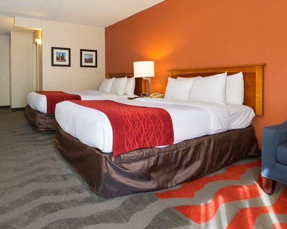 Imagen de la habitación del Hotel Comfort Inn and Suites Airport, Syracuse. Foto 13