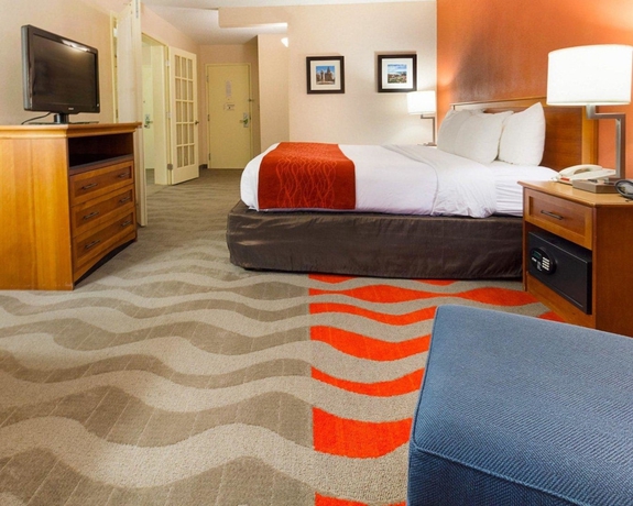 Imagen de la habitación del Hotel Comfort Inn and Suites Airport, Syracuse. Foto 14