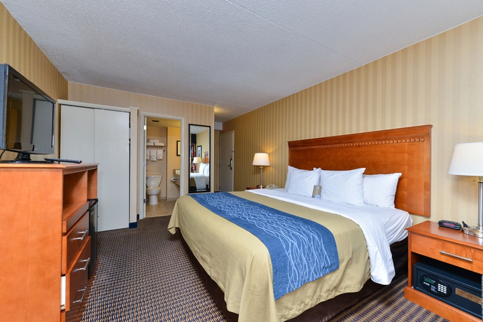 Imagen de la habitación del Hotel Comfort Inn and Suites Alexandria West. Foto 6