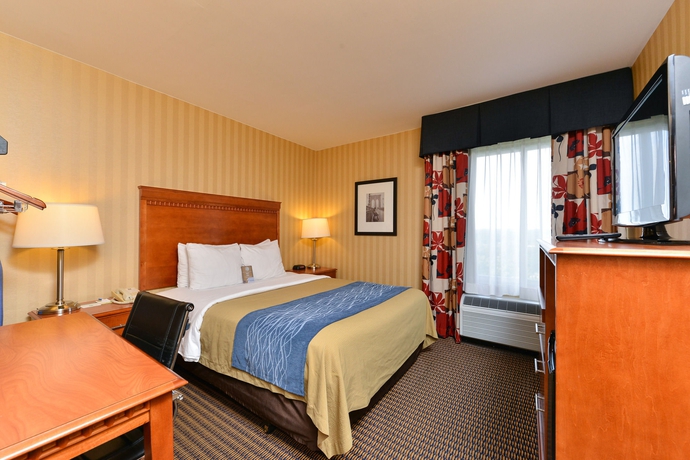 Imagen de la habitación del Hotel Comfort Inn and Suites Alexandria West. Foto 11