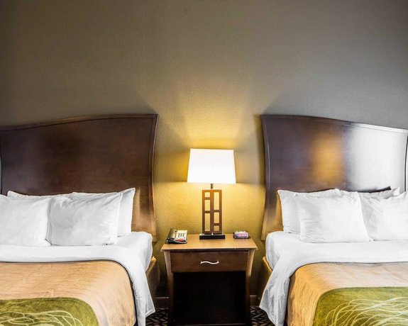 Imagen de la habitación del Hotel Comfort Inn and Suites, Alva. Foto 7