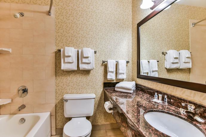 Imagen de la habitación del Hotel Comfort Inn and Suites Ambassador Bridge. Foto 5