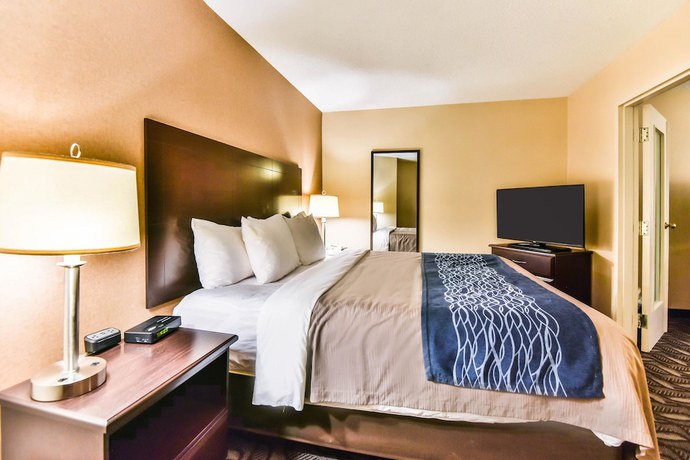 Imagen de la habitación del Hotel Comfort Inn and Suites Ambassador Bridge. Foto 6