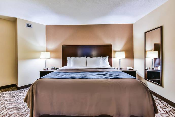 Imagen de la habitación del Hotel Comfort Inn and Suites Ambassador Bridge. Foto 10