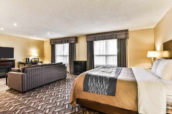 Imagen de la habitación del Hotel Comfort Inn and Suites Ambassador Bridge. Foto 12
