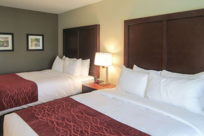 Imagen de la habitación del Hotel Comfort Inn and Suites Amish Country. Foto 11