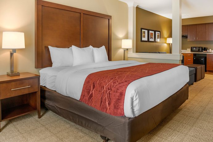 Imagen de la habitación del Hotel Comfort Inn and Suites Amish Country. Foto 14