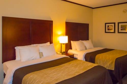 Imagen de la habitación del Hotel Comfort Inn and Suites Ardmore. Foto 6