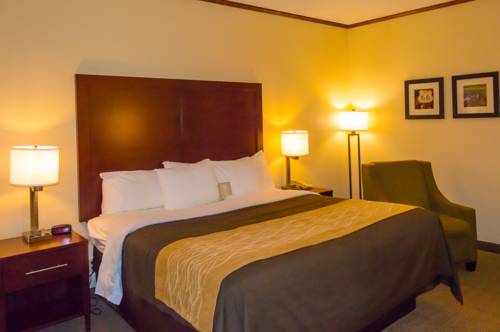 Imagen de la habitación del Hotel Comfort Inn and Suites Ardmore. Foto 10