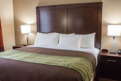 Imagen de la habitación del Hotel Comfort Inn and Suites Artesia. Foto 4